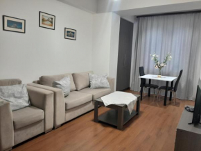 1bdr apartment in the center
